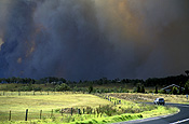 Disaster, disasters, natural disaster, natural disasters, Fire, Fires, Bushfire, Bushfires, Australia, NSW, sydney, new South Wales, smoke, road, roads, sealed, sealed road, sealed roads.