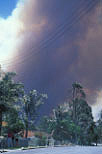 Disaster, disasters, natural disaster, natural disasters, Fire, Fires, Bushfire, Bushfires, Australia, NSW, sydney, new South Wales, burn, burns, burning, burnt, flame, flames.