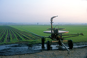 Australia, New South Wales, hawkesbury, hawkesbury area, hawkesbury region, hawkesbury district, hawkesbury valley, valley, valleys, rural, rural scene, rural scenes, machine, machines, machinery, farm machinery, farming machinery, turf, irrigator, irrigators, irrigates, irrigating, irrigation, field, fields.