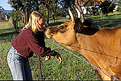 People, child, children, puberty, woman, women, female, females, pet, pets, teenager, teenagers, girl, girls, teenage girl, teenage girls, girl, girls, people and animals, children and animals, people with animals, children with animals, animal, animals, people, child, children, puberty, child, children, adolescent, adolescents, people with animals, people and animals, children with animals, children and animals, cow, cows, dairy cow, dairy cows, livestock, horn, horns, cows horns, fence, fences, barbed wire fence, barbed wire fences, wire fence, wire fences.