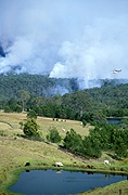 Fire, Fires, bushfire, bushfires, smoke, dam, dams, disasters, disasters, Australia, New South Wales, hawkesbury, hawkesbury area, hawkesbury region, hawkesbury district, Hawkesbury, Hawkesbury Valley, NSW, New South Wales, Australia, water storage, sydney bushfire, sydney bushfires, cow, cows, cattle, livestock, rural, rural scene, rural scenes.