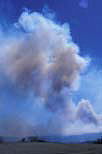Fire, Fires, bushfire, bushfires, smoke, disasters, Australia, New South Wales, hawkesbury, hawkesbury area, hawkesbury region, hawkesbury district, Hawkesbury, Hawkesbury Valley, NSW, New South Wales, Australia.