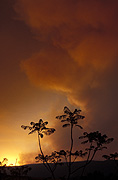 Fire, Fires, bushfire, bushfires, smoke, disasters, Australia, New South Wales, hawkesbury, hawkesbury area, hawkesbury region, hawkesbury district, Hawkesbury, Hawkesbury Valley, NSW, New South Wales, Australia, smoke.