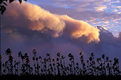 Disaster, disasters, natural disaster, natural disasters, Fire, Fires, Bushfire, Bushfires, Australia, NSW, sydney, new South Wales, burn, burns, burning, burnt, Australia, New South Wales, hawkesbury, hawkesbury area, hawkesbury region, hawkesbury district, hawkesbury, hawkesbury valley.