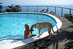 Costa Rica, Pacific Ocean, ocean, oceans, seascape, seascapes, coast, coasts, coastline, coastlines, man, men, pool, pools, water, swimming pool, swimming pools, dog, dogs, domestic dog, domestic dogs, sea, seas, male, males, resort, resorts, holiday resort, holiday resorts, hotel, hotels.