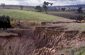 Australia, New South Wales, Erosion, erode, eroded, soil, soil erosion, farmland, eroded farmland, eroded, environmental damage.