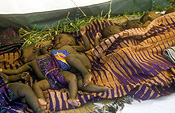 Africa, African, Africans, Civil War, Civil Wars, Rwanda, Rwandan, Rwandan Civil War, Rwandan Refugee Camp, Rwandan Refugee Camps, Refugee Camp, Refugee Camps, Refugee, Refugees, people, JRH24,