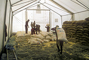 Africa, African, Africans, Civil War, Civil Wars, Rwanda, Rwandan, Rwandan Civil War, Rwandan Refugee Camp, Rwandan Refugee Camps, Refugee Camp, Refugee Camps, Refugee, Refugees, people, sack, sacks, JRH24,