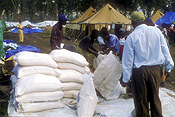 Africa, African, Africans, Civil War, Civil Wars, Rwanda, Rwandan, Rwandan Civil War, Rwandan Refugee Camp, Rwandan Refugee Camps, Refugee Camp, Refugee Camps, Refugee, Refugees, people, sack, sacks, JRH24,