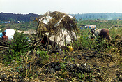 Africa, African, Africans, Civil War, Civil Wars, Rwanda, Rwandan, Rwandan Civil War, Rwandan Refugee Camp, Rwandan Refugee Camps, Refugee Camp, Refugee Camps, Refugee, Refugees, people, JRH24,