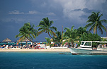 Caribbean, Caribbean Islands, beach, beaches, palm tree, palm trees, seashore, seashores, shoreline, shorelines, coast, coasts, coastline, coastlines, water, Protestant Cay, Saint Croix, St Croix, Christiansted, FF25,