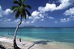 Caribbean, The Caribbean, Caribbean Islands, Tortola, Cane Garden Bay, beach, beaches, coast, coasts, coastline, coastlines, seashore, seashores, shoreline, shorelines, palm tree, palm trees, palmtree, palmtrees, sand, cloud, clouds, FF25,