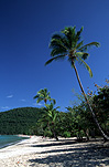 Caribbean, The Caribbean, Caribbean Islands, Saint Thomas, Magens Beach, beach, beaches, coast, coasts, coastline, coastlines, seashore, seashores, shoreline, shorelines, palm tree, palm trees, palmtree, palmtrees, sand, sky, skies, blue sky, blue skies, FF25,