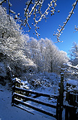 Europe, Western Europe, UK, Britain, British Isles, England, United Kingdom, Great Britain, derbyshire, winter, snow, winter scene, winter scenes, peak, peak district, snow scene, snow scenes, tree, trees, wood, woods, forest, forests, gate, gates, FF25,
