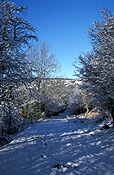 Europe, Western Europe, UK, Britain, British Isles, England, United Kingdom, Great Britain, derbyshire, winter, snow, winter scene, winter scenes, peak, peak district, snow scene, snow scenes, tree, trees, wood, woods, forest, forests, gate, gates, FF25,