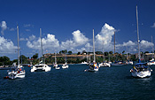 Caribbean, the caribbean, carribean islands, harbour, harbours, yacht, yachts, moored, moored yacht, moored yachts, coast, coasts, coastline, coastlines, martinique, port de france, FF25,