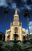 Caribbean, the caribbean, carribean islands, martinique, port de france, palm, palms, palm tree, palm trees, cathedral, cathedrals, cathedral st louis, st louis, religious building, religious buildings, religion, steeple, steeples, spire, spires, architecture, FF25,