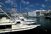 Caribbean, the caribbean, carribean islands, barbados, bridgetown, river, rivers, constitution river, constitution, boat, boats, boating, moored, moored boat, moored boats, mooring, moorings, marina, marinas, FF25,