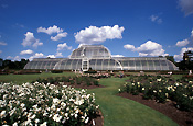 Europe, Western Europe, UK, Britain, British Isles, England, United Kingdom, Great Britain, london, kew, kew garden, kew gardens, garden, gardens, english, english garden, english gardens, glasshouse, glasshouses, architecture, palm house, glass.