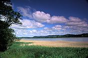 Europe, Western Europe, UK, Britain, British Isles, scotland, nith, estuary, estuaries, nith estuary, dumfries, galloway, dumfries and galloway.