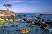 Turkey, phaselis, coast, coasts, coastline, coastlines, seashore, seashores, shoreline, shorelines.