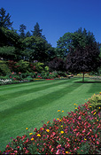 Canada, vancouver, british columbia, butchart, butchart gardens, garden, gardens, lawn, lawns.