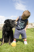 People, child, children, boy, boys, pet, pets, dog, dogs, domestic, domestic dog, domestic dogs, toddler, toddlers, male, males, Australia, Sport pictures, Sports, balloon images, hot air balloons