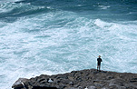 Sport pictures, Sports, fishing, coast, coasts, coastline, coastlines, water, sea, seas, ocean, oceans, wave, waves, rock fishing, rockfishing, man, men, male, males, bondi, NSW, New South Wales, Australia, bondi beach.