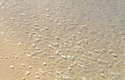 Australia, Beach, Beaches, water, coast, coasts, coastal, coastline, coastlines.