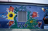 Australia, new South Wales, nsw, sydney, wall, walls, flower, flowers, window, windows, painting, paintings, wall mural, wall murals, painting, paintings, wall painting, wall paintings, mural, murals.