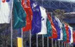 Flag, Flags, paralympic flag, paralympic flags, paralympics.