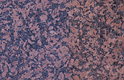 Granite, rock, rocks, igneous, igneous rock, igneous rocks.