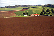 Farming, Farmland, farm, farms, animal, animals, cattle, meat industry, meat trade, cow, cows, livestock, agriculture, grazing, tas, tassie, tasmania, Australia, rural, rural scene, rural scenes, field, fields, paddock, paddocks.