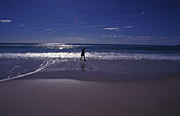 Australia, Beach, Beaches, water, coast, coasts, coastal, coastline, coastlines, wave, waves, sand, seashore, seashores, shoreline, shorelines.