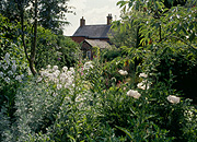 Garden, gardens, cottage, cottage garden, cottage gardens, england, english, house, houses, housing.