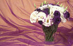 Flower, flowers, cut flowers, floral arrangements, eustoma, eustoma grandiflorum, lisianthus, vase, vases, vase of flowers, vases of flowers, purple flower, purple flowers, white, white flower, white flowers, Daisy Jane,