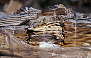 Australia, recycle, recycles, recycling, paper, recycling centre, recycling centres, bundle, bundles, environmental, environmental issue, environmental issues, newspaper, newspapers.