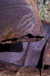 Rust, rusting, chemical reactions, deteriorating, deterioration, corrosion, rusted.