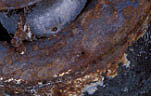 Chemical reaction, chemical reactions, Rust, rusting, deteriorate, deteriorating, deterioration, corrode, corrosion, rusted.