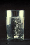 Biology, glass, glasses, pill, pills, drug, drugs, tablet, tablets, dissolve, dissolves, dissolving, tablet dissolving, tablets dissolving, pills dissolving, pill dissolving, bubble, bubbles, glass of water, glasses of water, water, science, medication, medicine, medicines.