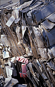 Australia, Recycling, recycling paper, paper recycling, recycled, re-cycling, re-cycled, cardboard, paper, recycle, cardboard box, cardboard boxes, environment.