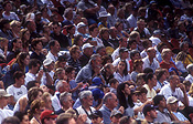 Australia, people, Sport pictures, Sports, stadium, stadiums, nsw, new South Wales, sydney, homesbush, arena, arenas, sports arena, sports arenas, sports stadium, sports stadium, crowd, crowds, sports ground, sports grounds.