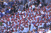 People, crowd, crowds, hat, hats, sydney, new South Wales, nsw, australia, outdoors.