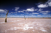 Australia, WA, Western Australia, Goldfields, Fence, Fences, lake, lakes, Lake Rebecca, dry lake, dry lakes, evaporate, evaporates, evaporating, evaporation, salt, salt lake, salt lakes.