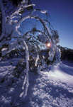 Australia, New South Wales, Mountain, Mountains, Snowy Mountain, Snowy Mountains, National Park, National Parks, kosciusko, great dividing range, Kosciusko National Park.