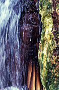 Water, water resource, Water resources, running water, bore, bores, artesian bore, artesian bores, Burketown, Qld, Queensland, Australia, water, water scene, water scenes.