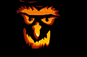 Vegetable, vegetables, pumpkin, pumpkins, halloween, celebration, celebrations.