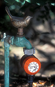 Tap, taps, garden tap, garden taps, timer, timers, garden timer, garden timers, water time, water timers, sprinkler timer, sprinkler timers, bird, birds