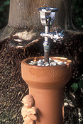 Drinking fountain, drinking fountains, bubbler, bubblers, water bubbler, water bubblers, terracotta, tap, taps, Royalty Free Image