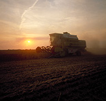 Farming, Farmland, farm, farms, Agriculture, rural, rural scene, rural scenes, crop, crops, wheat, wheat crop, wheat crops, wheat field, wheat fields, harvest, harvests, harvesting, combine harvester, combine harvesters, machine, machines, machinery, farm machinery, farm equipment, equipment, mood, mood scene, mood scenes, sunset, sunsets, sunrises and sunsets.